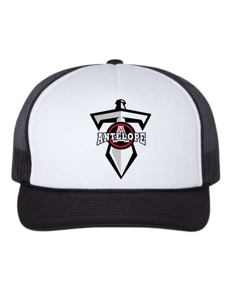 Jr. Titans Logo Hat